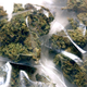 Illustration for article titled The Case For And Against Legalizing Marijuana